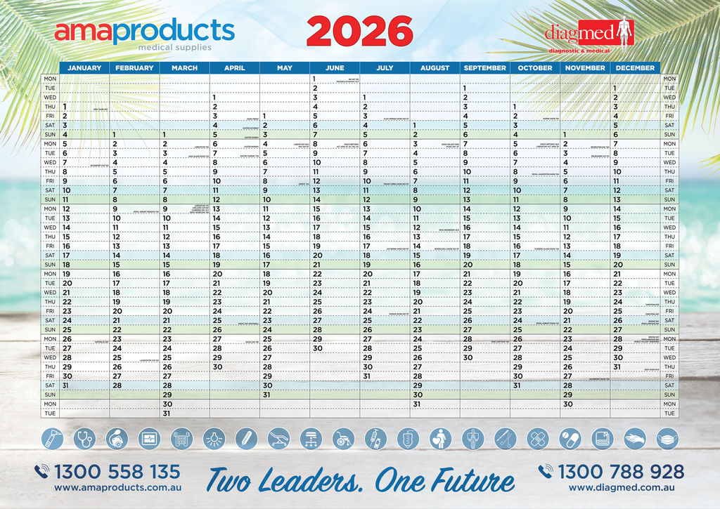 DIAGMED 2026 Wall Planner - Extra large A1 Size