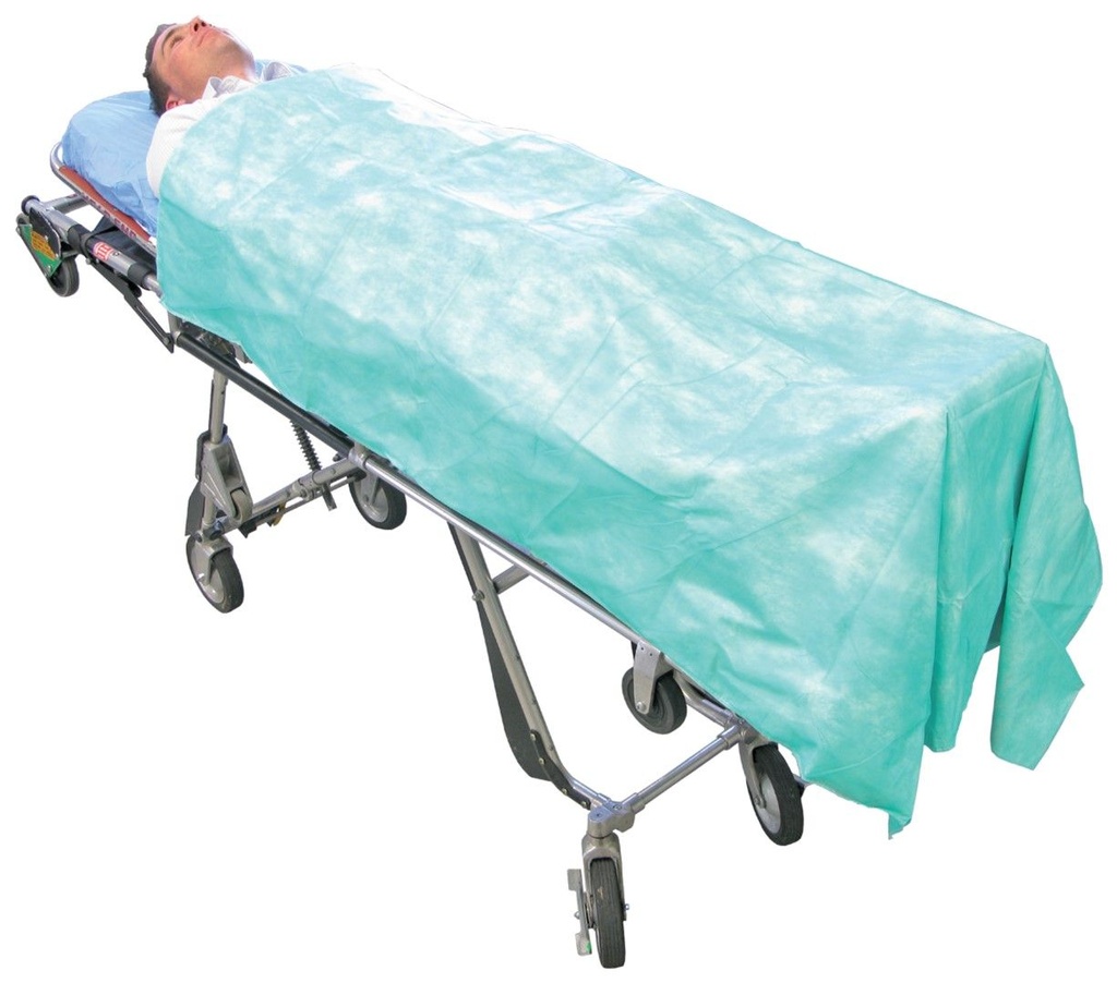 HAINES DISPOSABLE BLANKET - 50 (DB9110190)