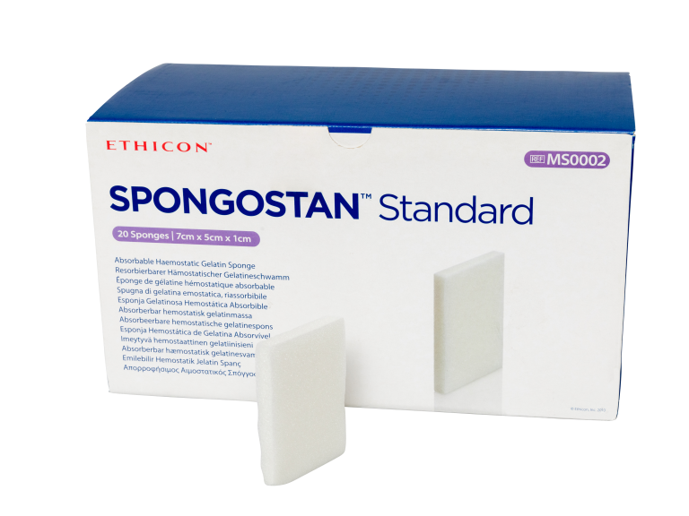 SPONGOSTAN SPONGE STANDARD 7 x 5 x 1CM - 20 (MS0002)