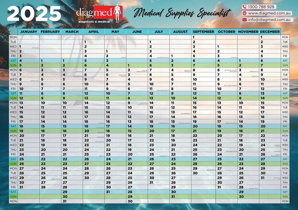 DIAGMED 2025 Wall Planner - Extra large A1 Size